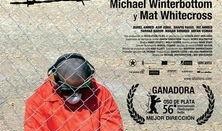 关塔纳摩之路在线观看,揭秘美国军事监狱的黑暗面