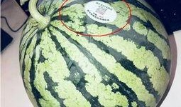 武穴网红吃瓜,揭秘网络舆论背后的真相